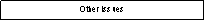 Text Box: Other Issues